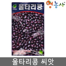 울타리콩씨앗 30g, 울타리콩, 울타리콩