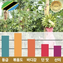 캅카와 [스페셜티]원두 탄자니아 음베야 AAA FAQ 강배전 200g (뉴크롭), 홀빈(분쇄안함)