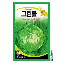 그린볼 2g / 양상추씨앗 채소씨앗 양상추씨 텃밭씨앗 쌈채소씨앗, 1개