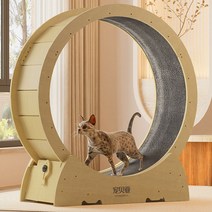 Bayei 고양이 캣휠 장난감 놀이터 캣워커 스크래처 러닝머신 쳇바퀴, M