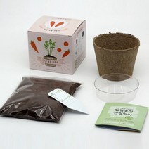 미니 화분 키트 당근 자연분해 화분 반려식물 키우기 세트, 단품