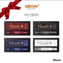 오스템 프리미엄 뷰센 치약칫솔 11 선물세트 (선물케이스+쇼핑백 포함/ 설선물 추석선물 시상품 사은품 기념품), H