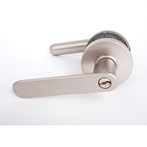 블루레몬 방문손잡이 BBL-950 GR, 5개