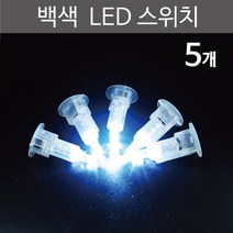 5P 백색 LED 스위치 전기전자 과학 실험 교재 수업초등 실험실 과학상자 교구 과학실 도구