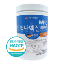 백세식품 WPC유청단백질분말100% 500g통 독일산 HACCP 인증제품, 1통, 500g