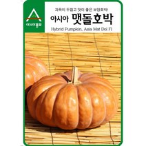 팜스마켓 맷돌호박씨앗 종자 25립 텃밭재배, 1.맷돌호박 25립