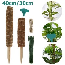 코코 야자 껍질 식물 스틱 30/40CM 2 개 넥타이 및 레이블 정원 이끼 지원 확장, 01 40cm