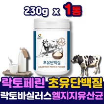 고단백 결정체 초유 단백질 분말 100% 프로틴 파우더 미국 통축 유청 고단백질 락토페린 면역 글로블린 식사대용 고함량 MBP 초유 모유유산균 추천 엠비피 마시는 쉐이크 wpl 보충제