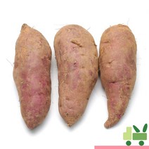 사라상회 고구마 5Kg (튀김용)