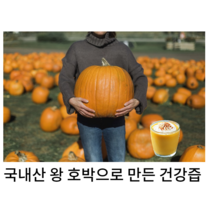 (홍열팜)정직한 국내산 늙은 호박즙 유기농호박 통째로 갈아만든 호박즙 110ml 즙쟁이 붓기차, 120포