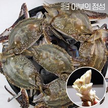 서해안 가을 꽃게 1kg/ kg당 3~5미, 없음, 1개
