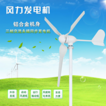 1000W3000W 24V48V220V 소형 풍력 발전기 세트 전원주택 발전 자전거 가정용 차량 태양광 선박용, 단일사이즈, 600W12V