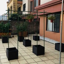 포도 넝쿨 받침대 과일 오이 지지대 튼튼, 20mm x 2.4m x1.8m x 2.4m