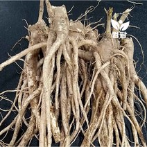 약도라지(왕)/650g팩, 10kg/box