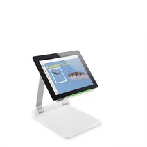 Belkin B2B118 휴대용 태블릿 스테이지 아이폰과 아이패드와 아이패드 프로와 아이패드 미니 및 아이패드 에어의 모든 세대를 포함한 대부분의 태블릿 및 스마트폰과 호환 가능, Portable