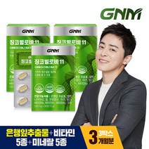 [KT알파쇼핑]GNM 징코빌로바 11 3박스 (총 3개월분) 은행잎추출물, 30정, 3개