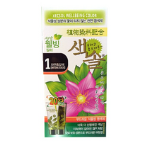 색솔 웰빙 칼라 크림 염색제 70g, 1호(자연흑갈색), 3개
