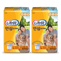 라이프리 안심 언더웨어 성인용 기저귀 대형 18매 2팩 코스트코