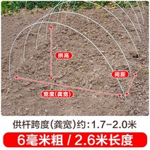 새로운 작은 아치 브래킷 야채 창고 기둥 분야 단열 FRP 단단한 유리 섬유 농업 묘목, 10개, 두께 6mm - 길이 2.6m