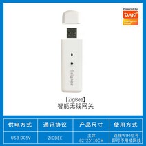 스마트홈 스마트전등스위치 Tuya- 게이트웨이 허브 멀티 모드 브리지 와이파이 블루투스 직비 앱 원격 제어 알렉사 구글, 04 USB zigbee