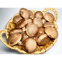 생 표고버섯 국내산 무농약 1kg, 1개, 하품1kg