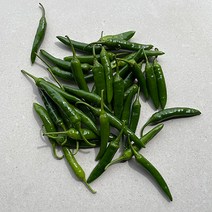 국내산 청양고추 청량고추 땡초 매운고추, 청량고추1kg(특품)