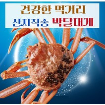 [예님푸드] 제철수산물 구룡포 산지직송 박달대게 대 3마리(생물), 단품