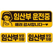 에스오디 임산부가 타고 있어요 탑승중 차량용 스티커 자석 탈부착 반사 SPB-295, 혼합색상, 1세트