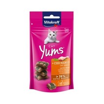 고양이 간식 져키 생후 6개월이상 캣얌 캣그라스 40g, 1개
