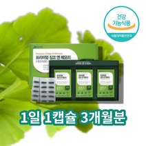 플라보놀 플라보노 배당체 공시생 70대 60대 80대 집중력 수험생 영양제 공부 할때먹는 공무원시험 징코 아연, 징코 앤 메모리 90캡슐 x1박스