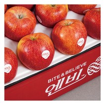 농부마음 달콤한 고당도 엔비사과 5kg (17-19과내)