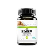 보스웰리아정 추출물 분말 유향 유항 보수엘리아 보스엘리아 우슬정 뿌리 쇠무릎 우술 우수리 소무릎 쇠물팍 우슬초 비타민 미네랄 우슬차 보스웰리아차 쇠무릅 보스웰리아환 우슬환