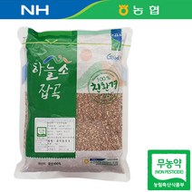 충북 제천 22년산 국산 무농약 수수 찰수수 수수쌀 1kg 수수밥