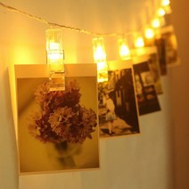 파파가든 LED 폴라로이드 꾸미기 폴꾸 벽에 사진붙이기 사진걸이 앨범, 2m