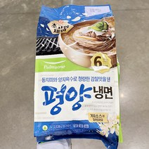기획 일반포장 풀무원 평양물냉면 2538g (6인), 단품, 단품