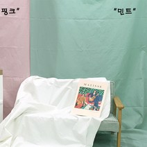 지오텍스 원단폭245cm 초광폭 배경천 촬영배경지 11가지 색상 흰천 하얀천 셀프 인스타 유튜브 블로그, 민트