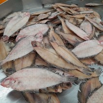 국내산 반건조 기름가자미 10미 1kg 조림 구이 식해용 물가자미 미주구리 말린 가재미 생선 요리, 1개