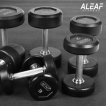 아리프 럭셔리 IPD 덤벨 40kg 아령 CPU신소재 헬스, 1개