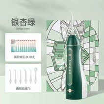 휴대용 물치실 구강세정기 치석 가정용 무선 물칫솔, G