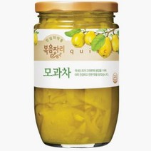 팬트리 학원 식재료 복음자리 모과차 건강주스 탕비실 음료수 480g, 2개