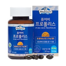 블루검 퓨어비 프로폴리스 60.84g, 120정, 1개