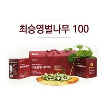 최승영벌나무즙 액기스100 벌나무엑기스추천 간해독차