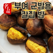 국내산 부여 군밤 용 칼집 밤 포르단 1kg 2kg, 포르단 칼집밤 1kg