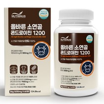 뉴트리너스 올바른 소연골 콘드로이친 1200, 60정, 1병