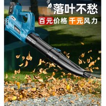 마당청소 낙엽청소기 제설 청소 송풍기 마당 전원주택 정원 나뭇잎 먼지 고출력, 충전 스톰 건 288vf 1회 충전 1회 충전