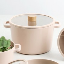 코지 피치 IH 인덕션 냄비 곰솥 22cm