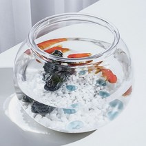 구피 베타 어항 둥근 키우기 플라스틱 12.5X10cm 원형 열대어키우기 미니어항 알비노폴레드구피, 본상품선택