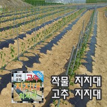 고추지지대 고추대 지주대 말뚝 2.0mx50개 고추지지대2m, 1.8m(50개)