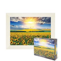 퍼즐피플 해바라기 들판과 일출 1000피스 풍경 직소퍼즐, 액자포함(우드화이트), 1000p
