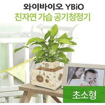 우즈에어화분 히노끼 산소발생 원목 가습기 어항 편백나무rst369, SPRg_화분+자갈+식물(아레카야자)